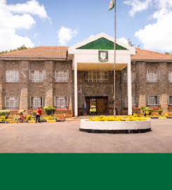 Alliance Girls Senior School