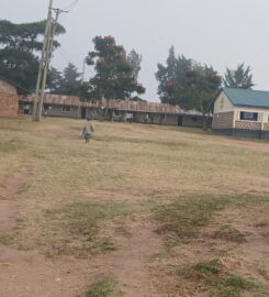 Komol Prim. and Junior School